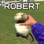 ROBERT