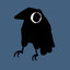 The Crowsader
