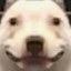 M A J E