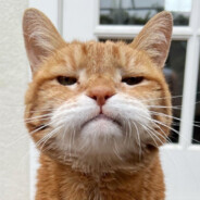 花老板一定发大财