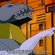 专业羽毛球教练王乒乓