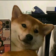 羊村村霸懒羊羊