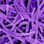 lil bacteria