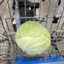 cabbage in a shopping cart