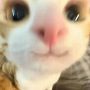 雨夜带刀不带伞