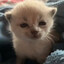 4ekHyTbIu*