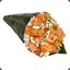 Temaki