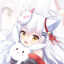 Lucky-novice