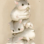 求带飞的小趴菜