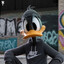 Black_Duck