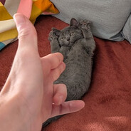 Jocopito- - steam id 76561198223567060