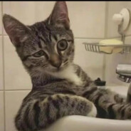 那无谓的是非多令人陶醉