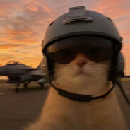 出其不意必自毙