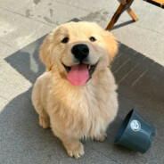 雾云无趣