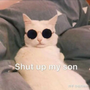 罗密欧与猪过夜