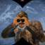 Willem
