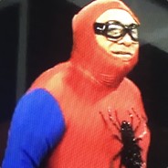 ManSpider