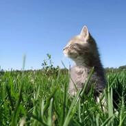 0plusplus's avatar