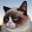 GrumpyCat