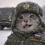 kaJlik