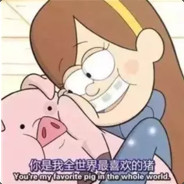 帕拉狗骑士