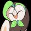 JJared_