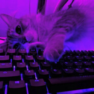 ♥𝓚𝓮𝓝𝓝𝔂♥