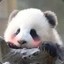 两三点睡不醒