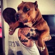bekaris - steam id 76561197961806740