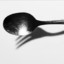 Spork