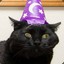 ExoCat
