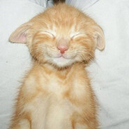 CS2Land.netfn_pus7ka