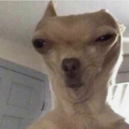 🅼🅰🅲🆃🆄🆁🅱🅴🅺