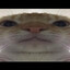 Antofio