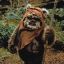 _Ewok_