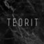 Teorit TradeBack.io