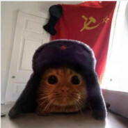 Comrade Cat