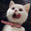 Fluffy