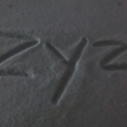 1Zyzz