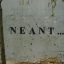 GeaneTT