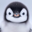 CuteCute