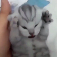 snollers