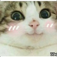 一只快乐的小跳蛙