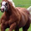 BuffHorse