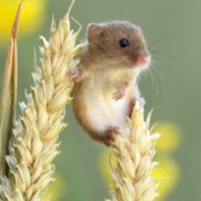 욕좀씨발그만해