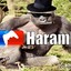 DicksOutForHarambe