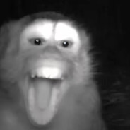 LOULOUPEEK <3 Piwul - steam id 76561199383047515