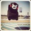 kumamon