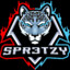 SPR3TZY