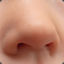 noseknows